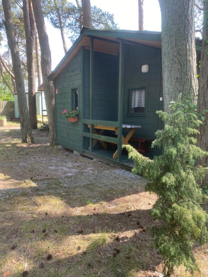 Domki Szumi Las Villa Mrzeżyno Exterior foto